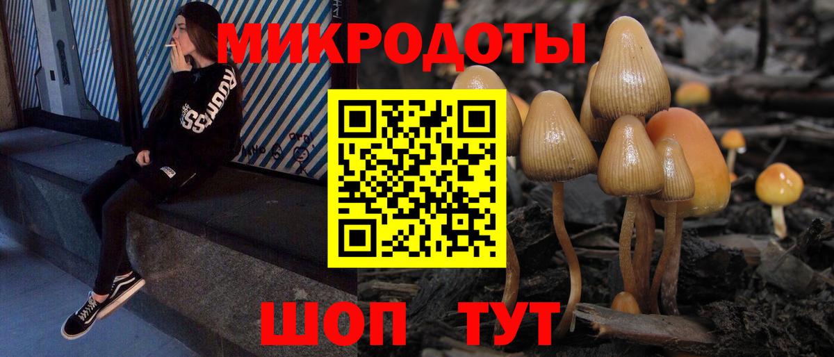 Старая Купавна  Псилоцибиновые грибы Psilocybine cubensis  даркнет сайт  Вход с VPN 